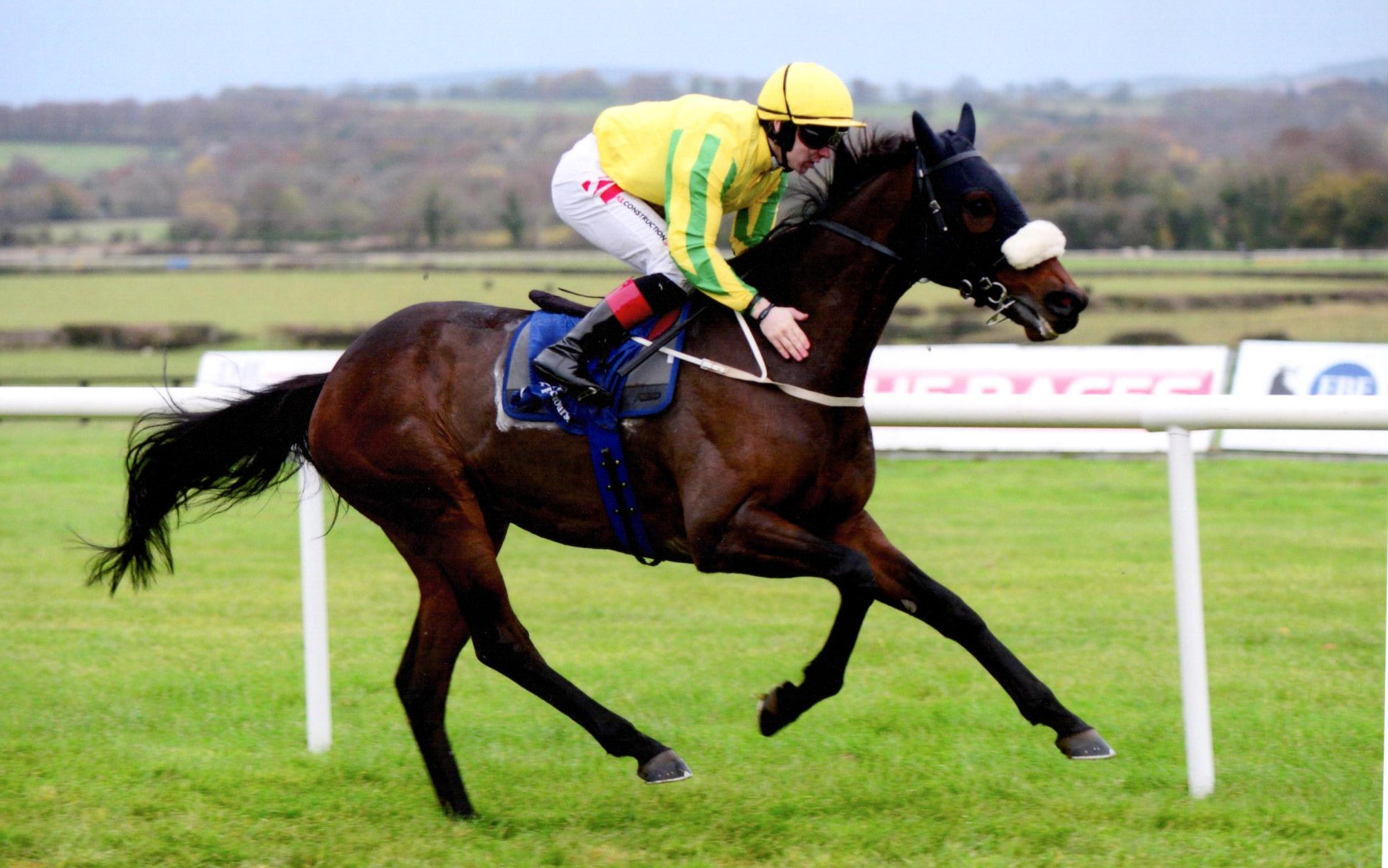 MUSTAJEER produces a perfect run to wrap up the 2018 turf season at Naas, 4th November 2018